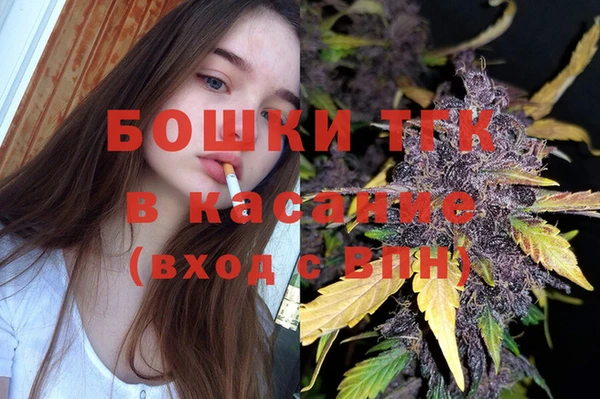 шишки Елизово