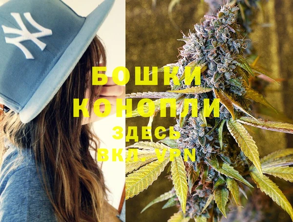 дживик Вязники